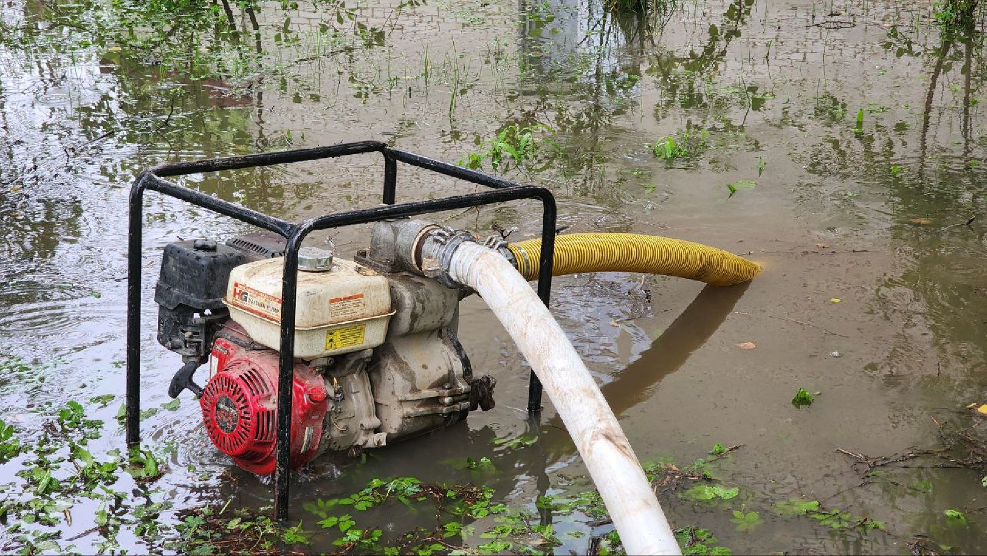 солнечногорск