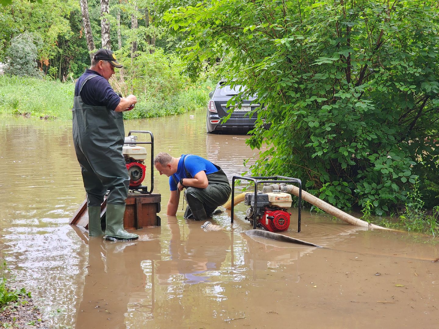 солнечногорск