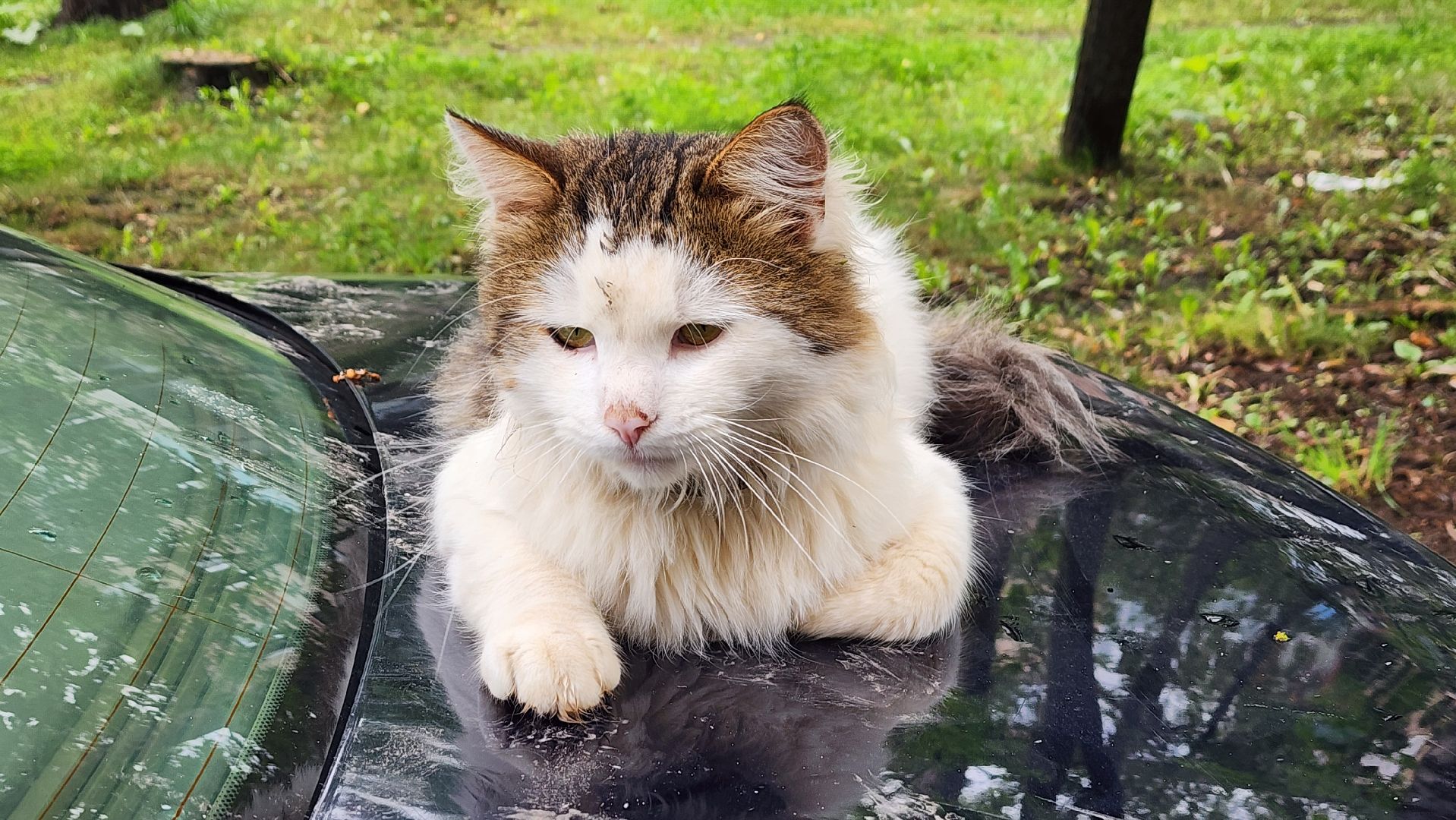 солнечногорск