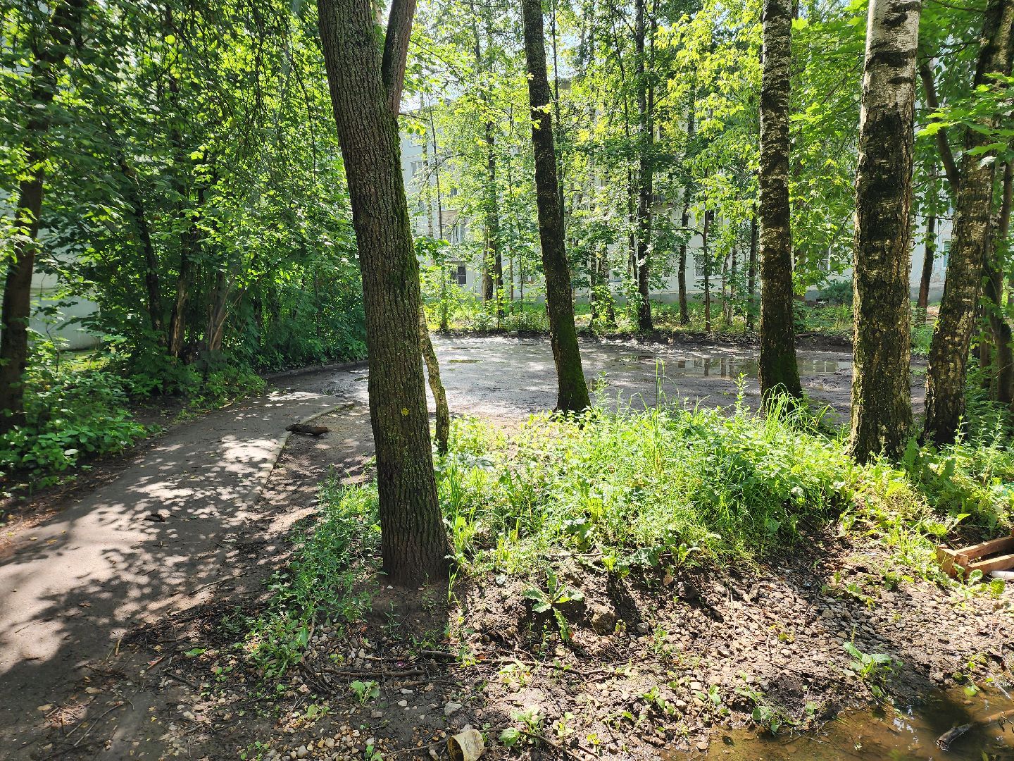 солнечногорск