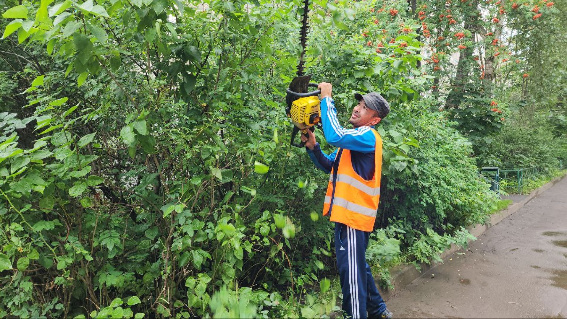 покос травы