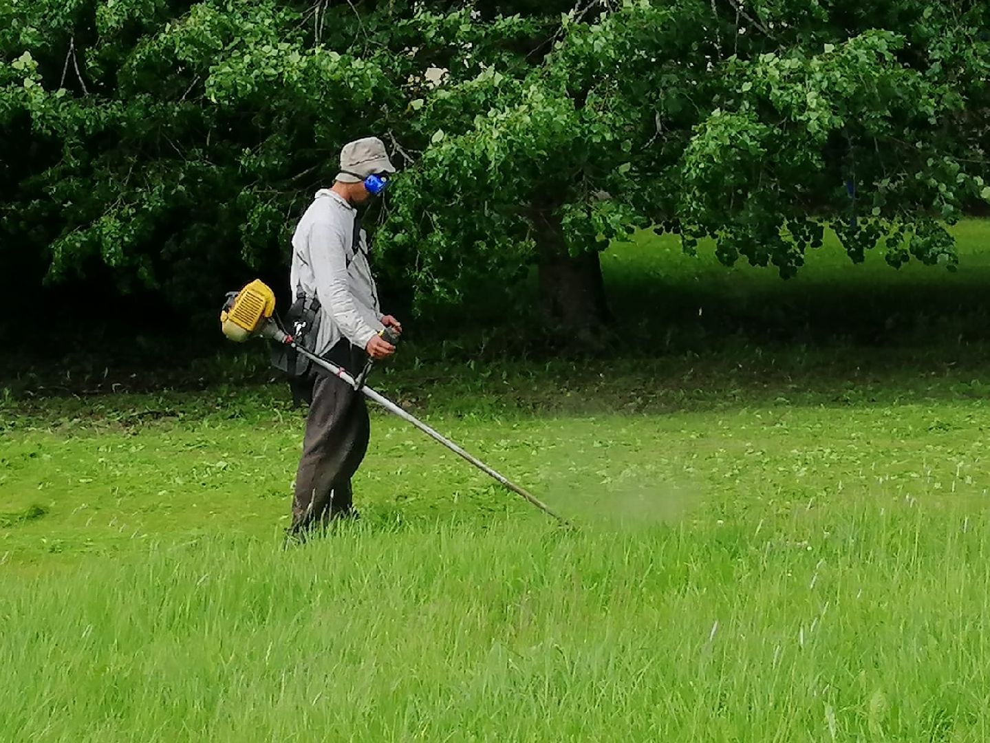 покос травы