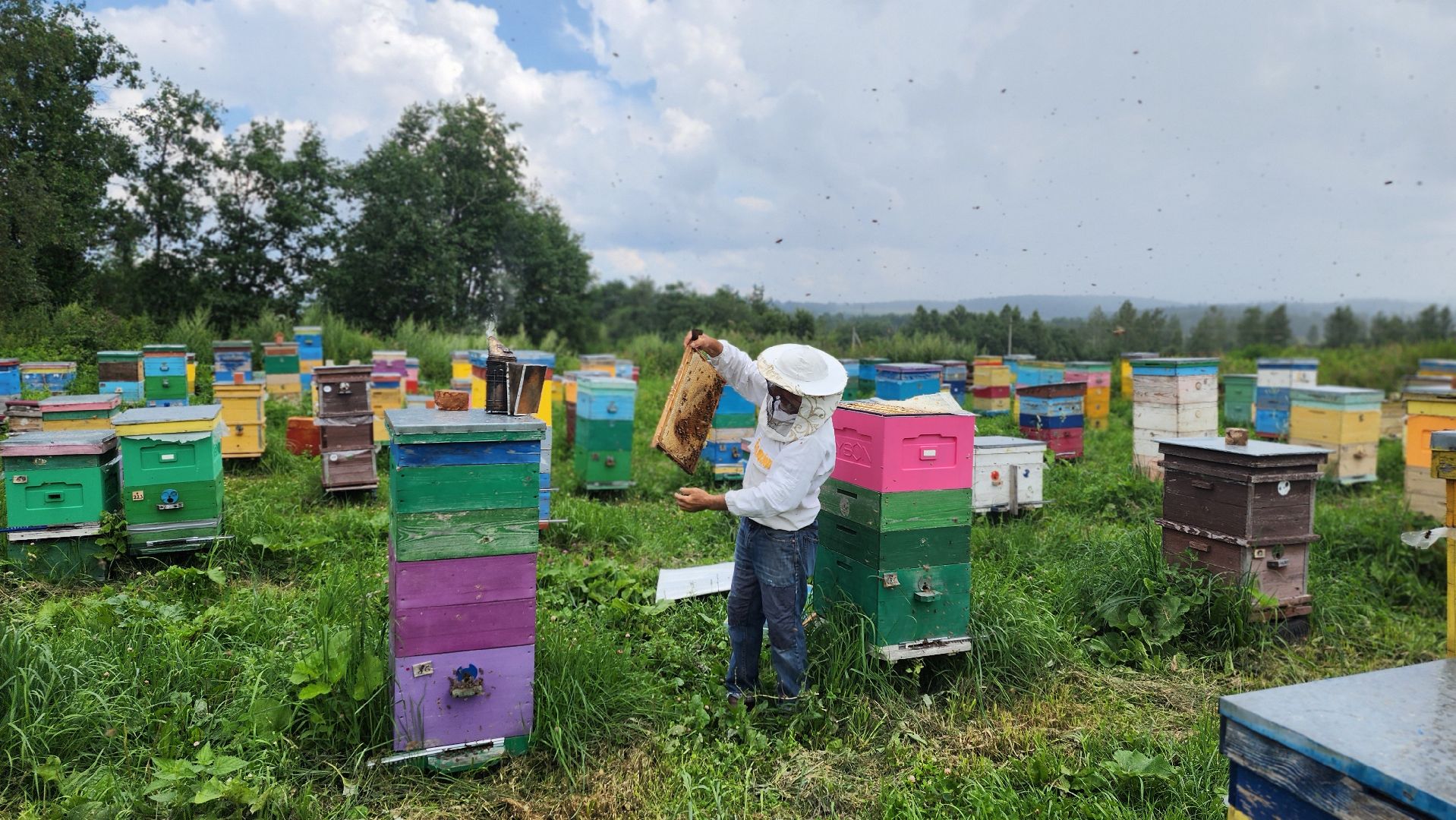 солнечногорск