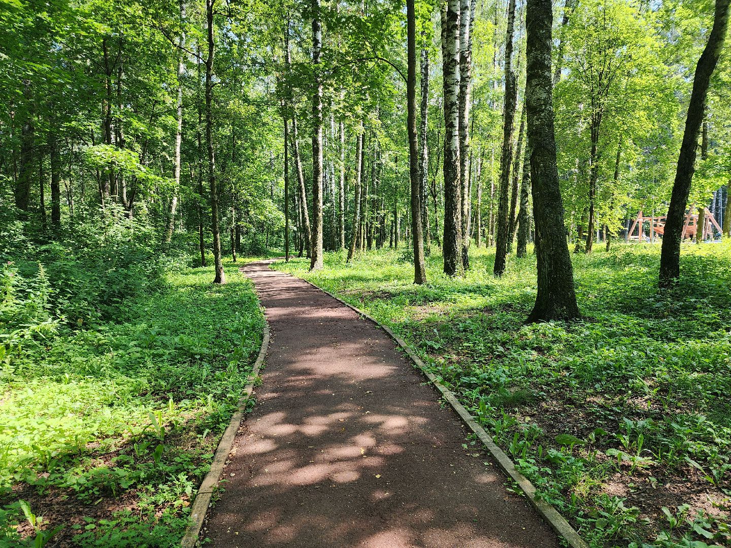 центральный парк