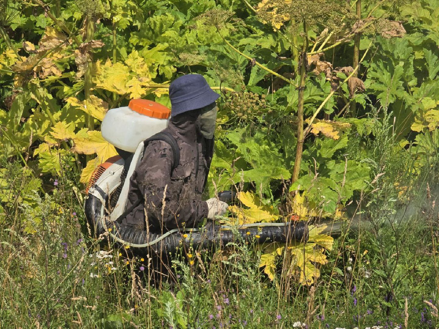 обращения граждан