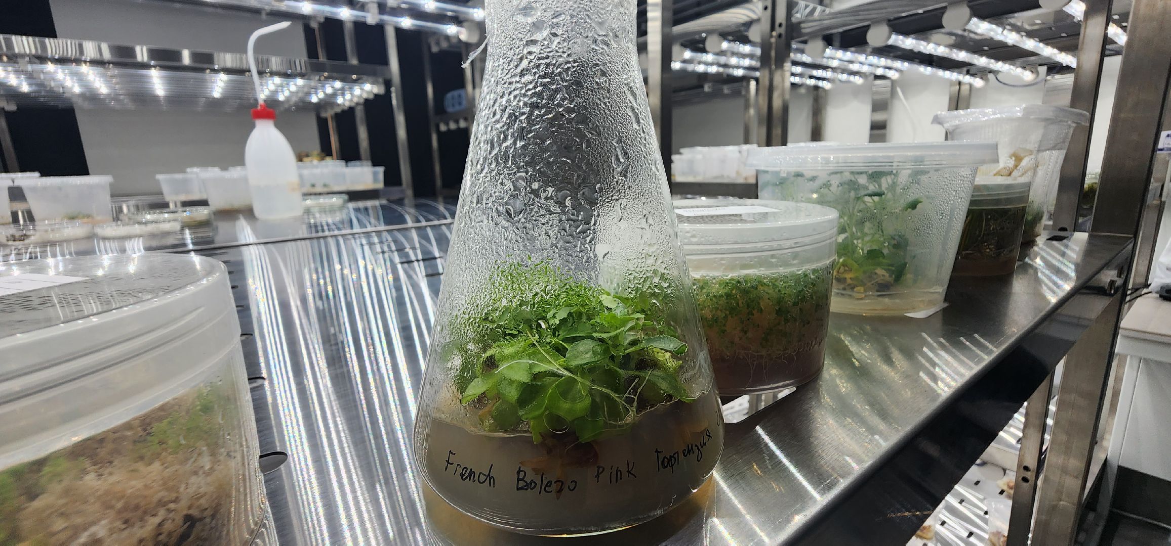 долгопрудный