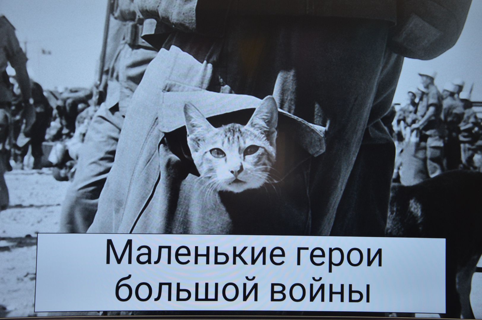 Международная акция