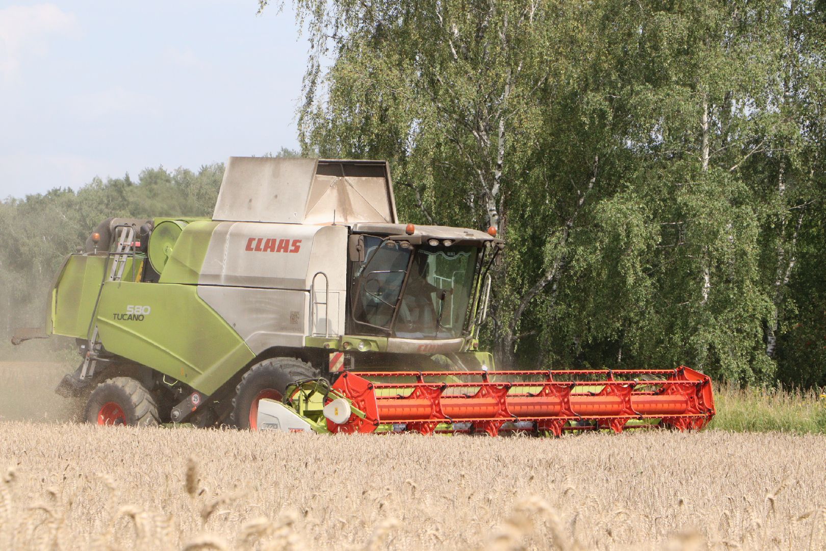 сельское хозяйство