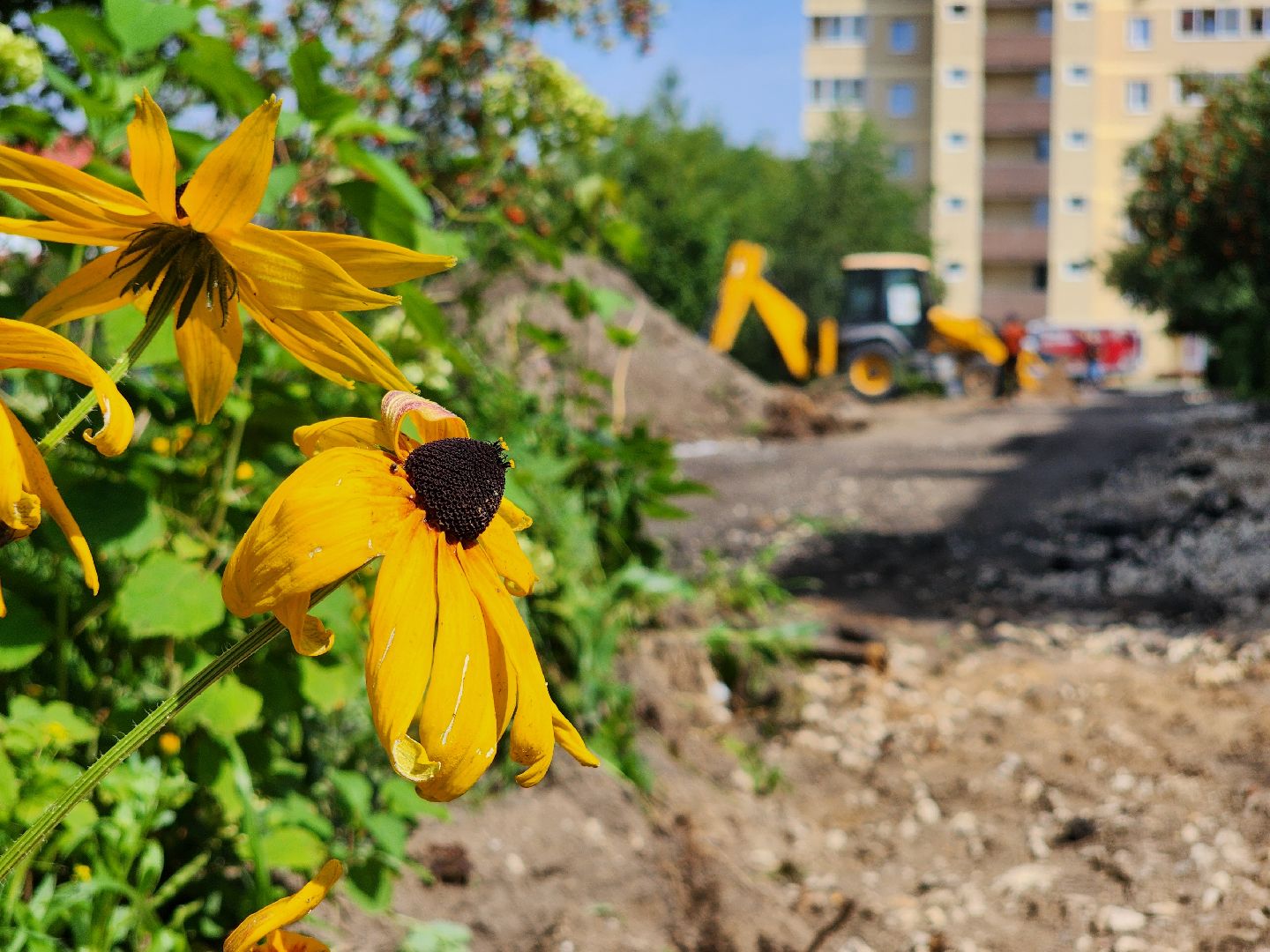 богородский городской округ