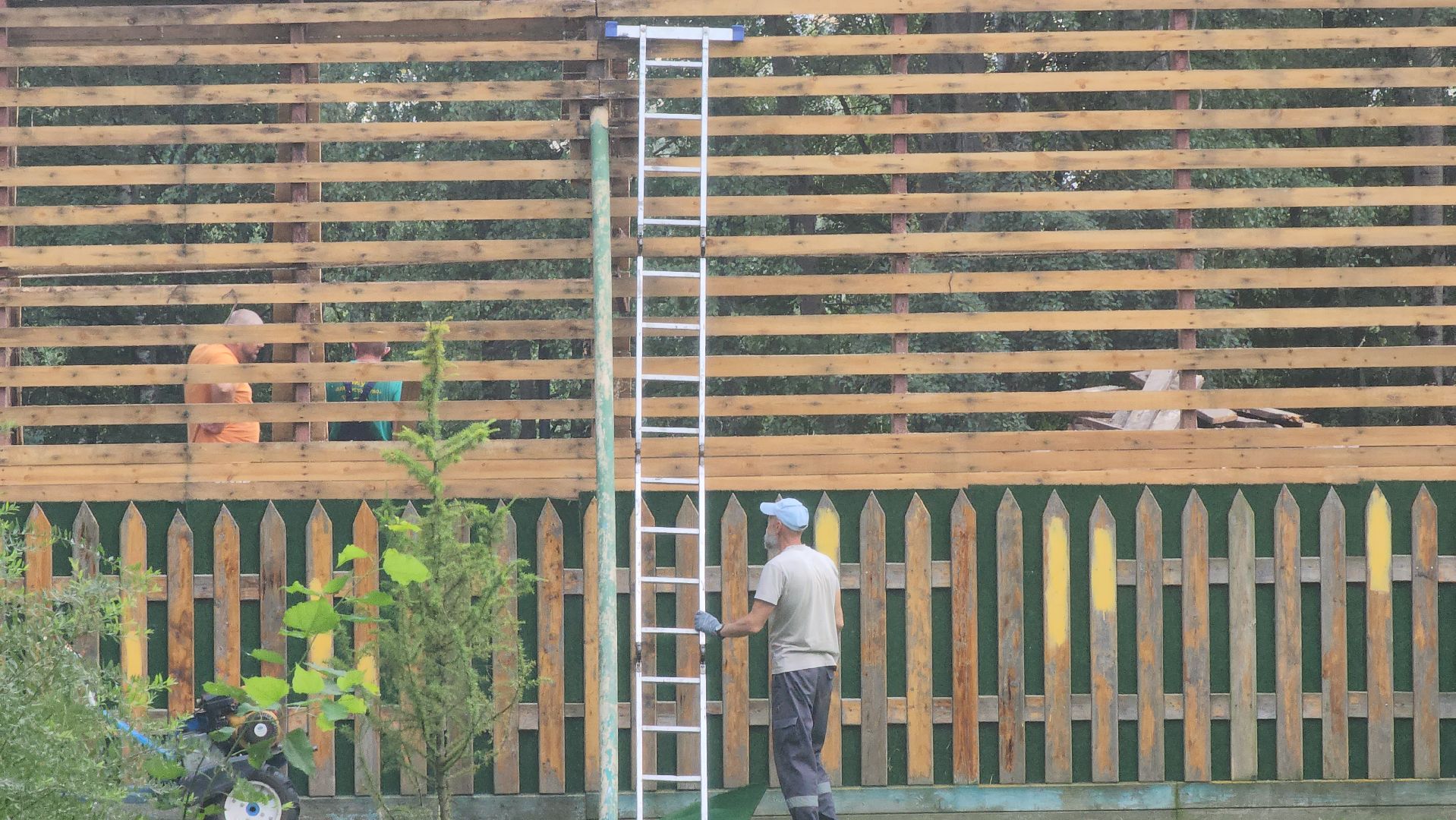 центральный парк