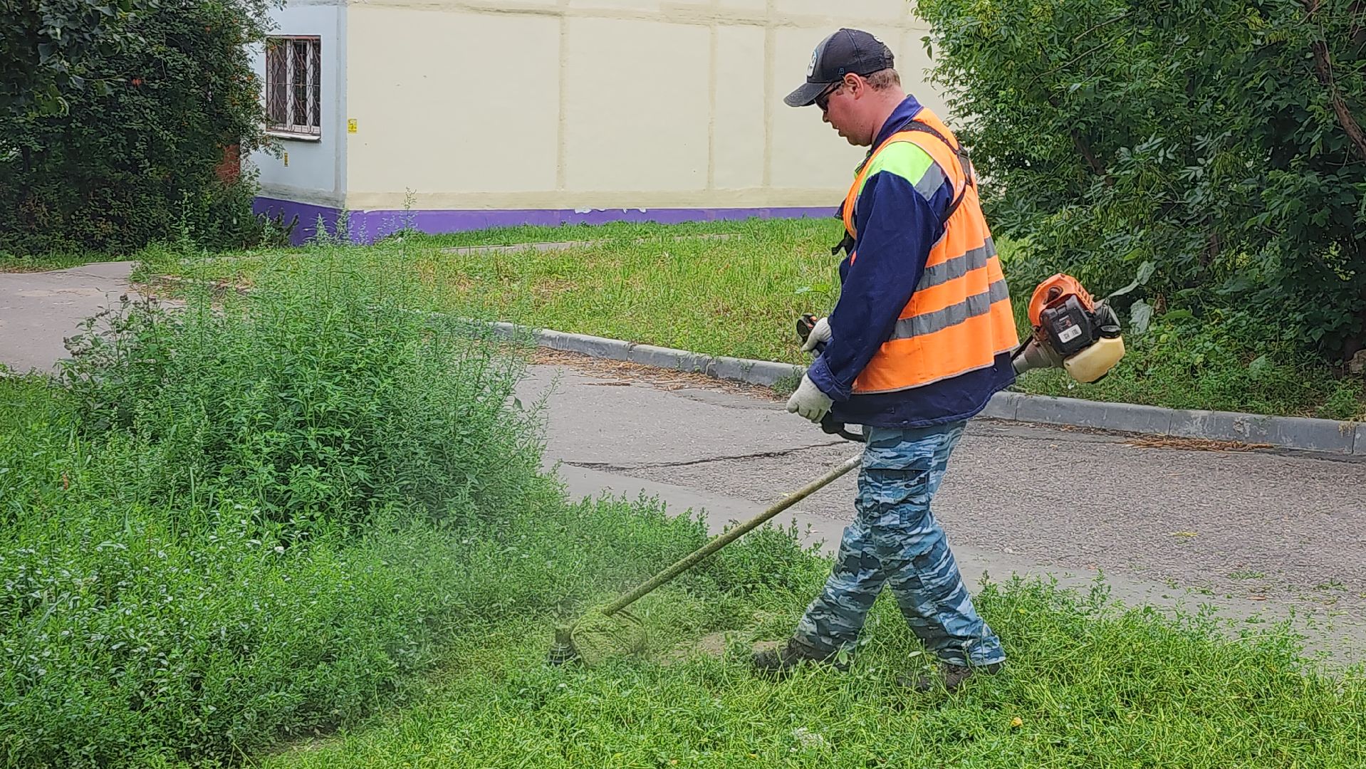 Подмосковье
