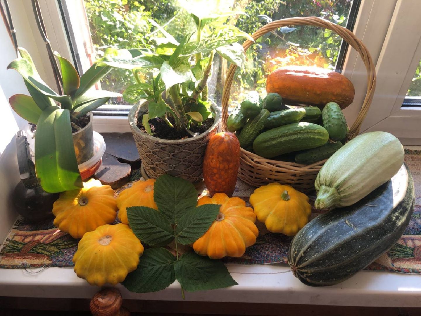 сбор урожая