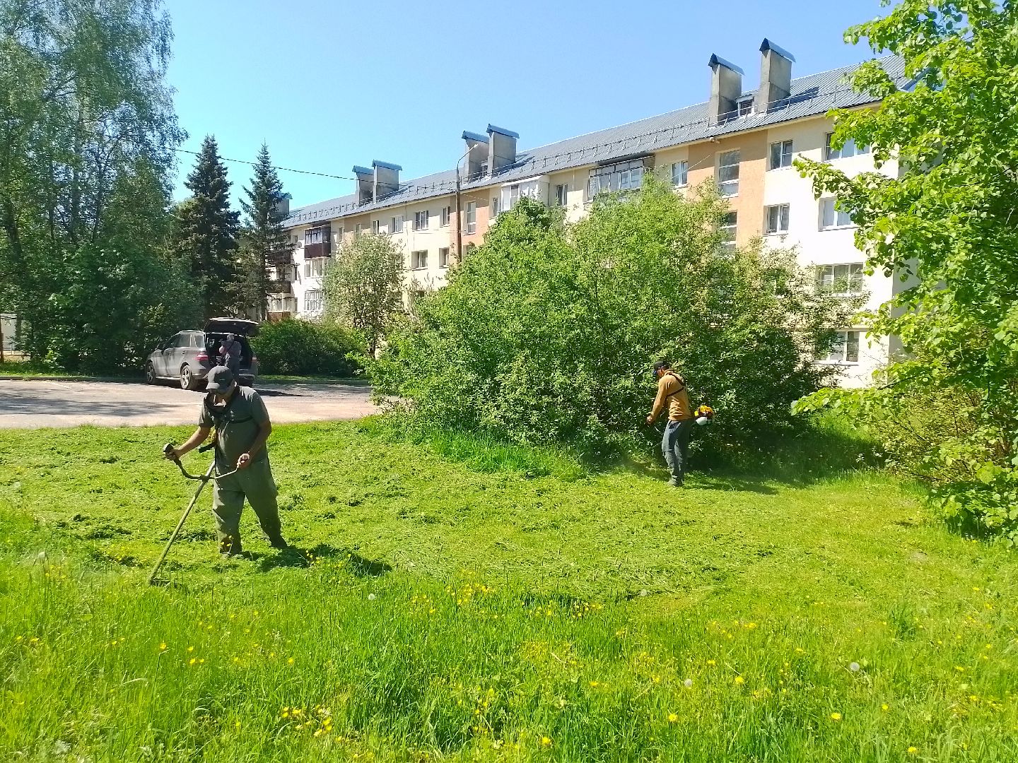 покос травы