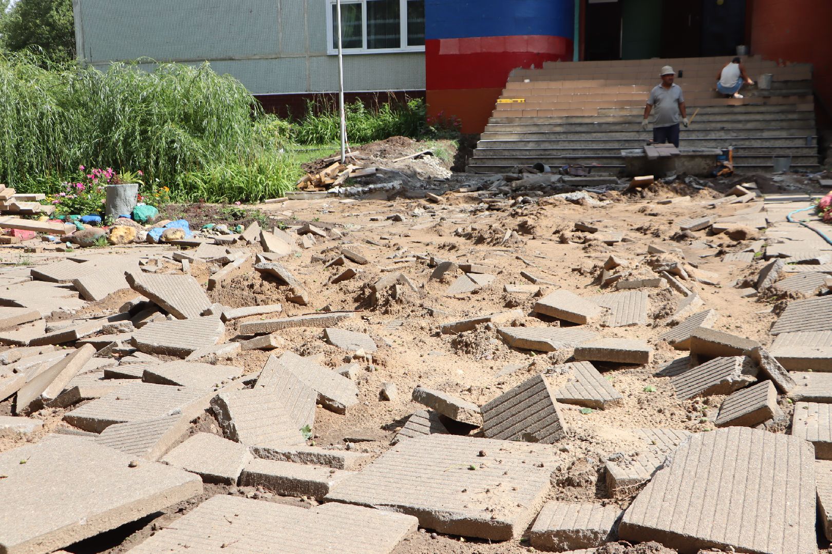 образование