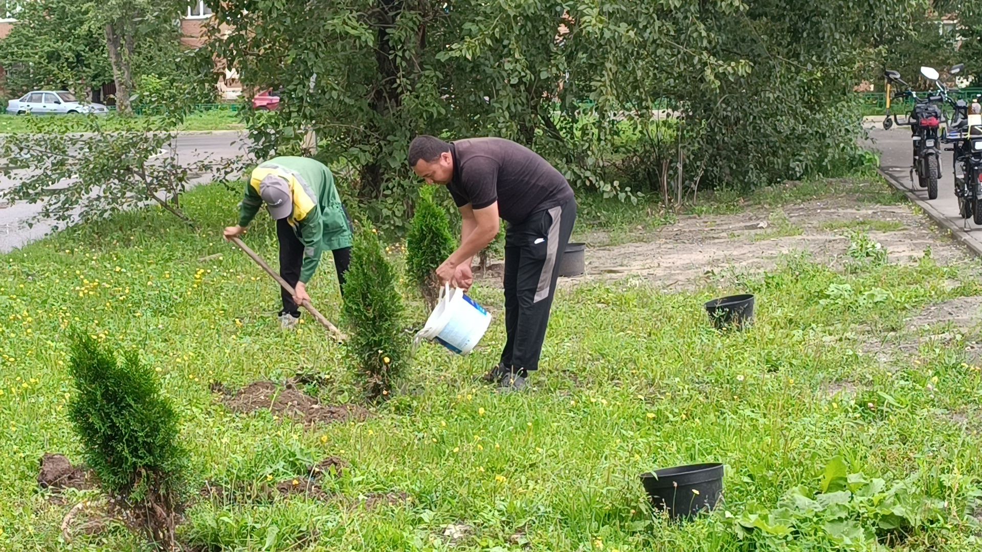 озеленение