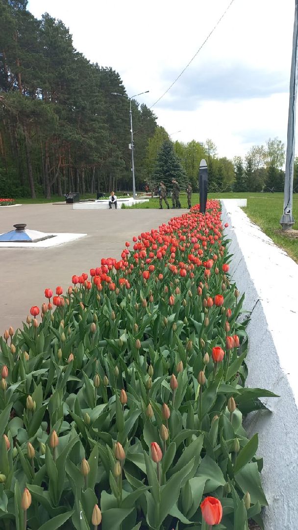 благоустройство