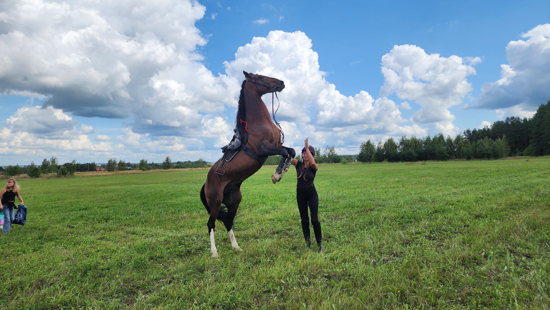 Кубок Главы