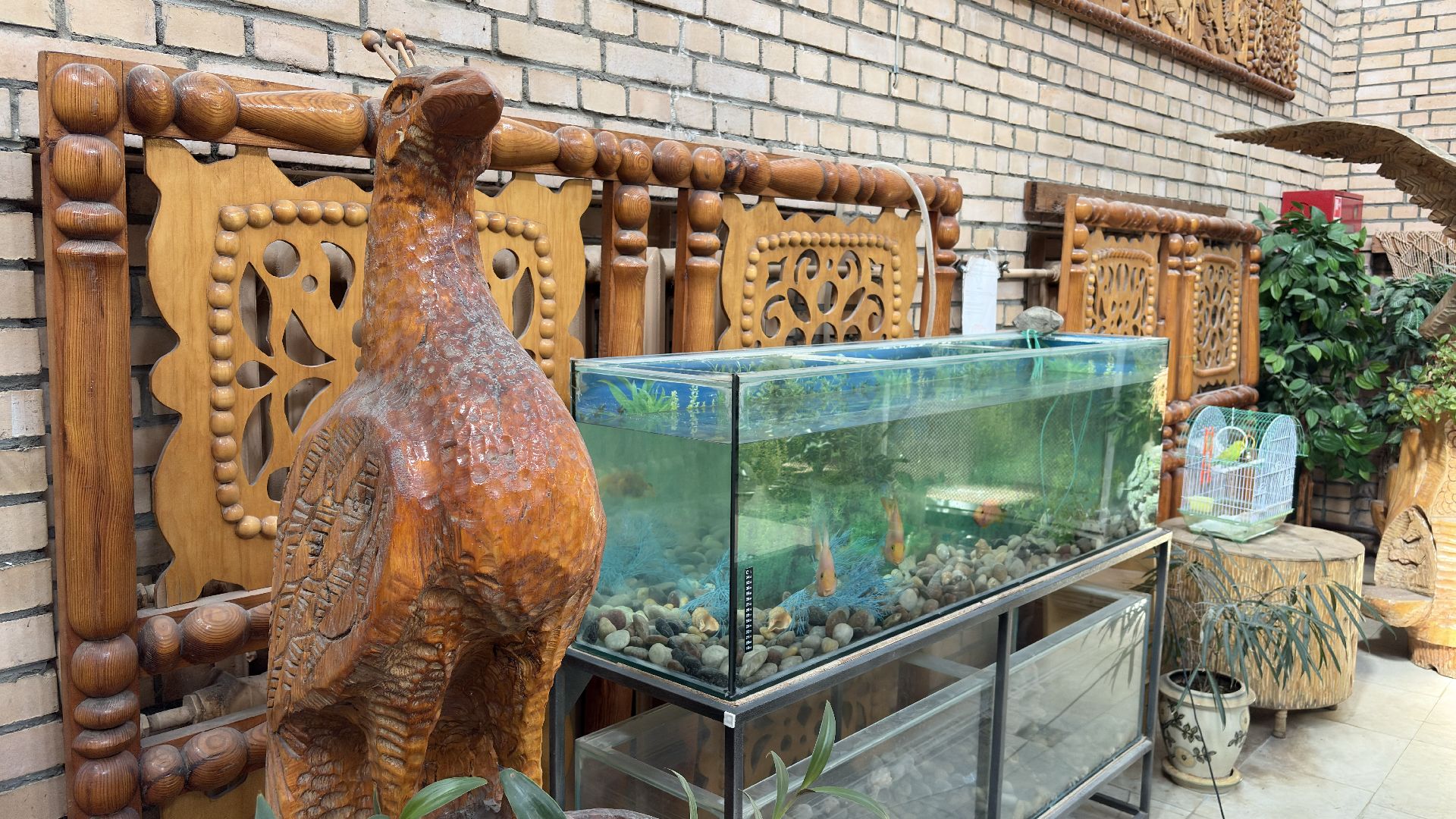 Образование