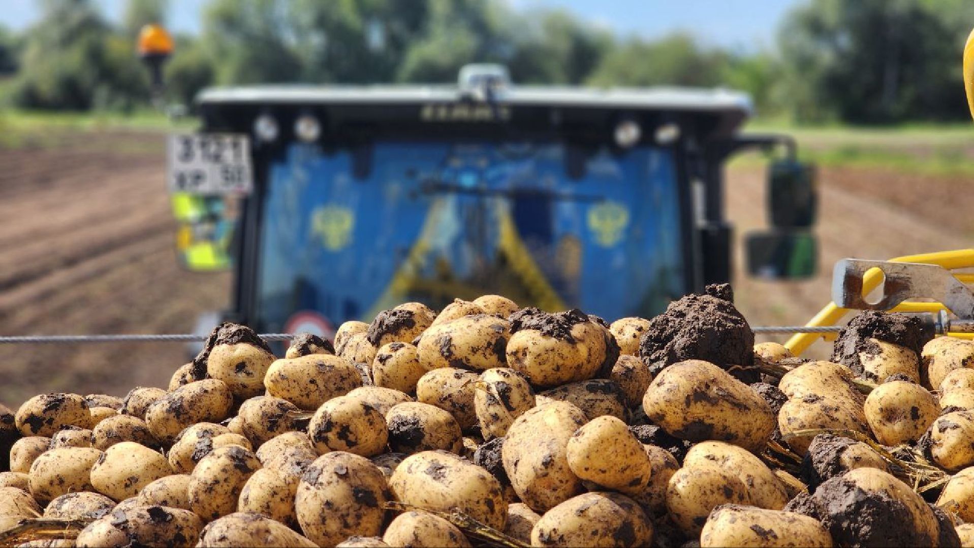 сельское хозяйство