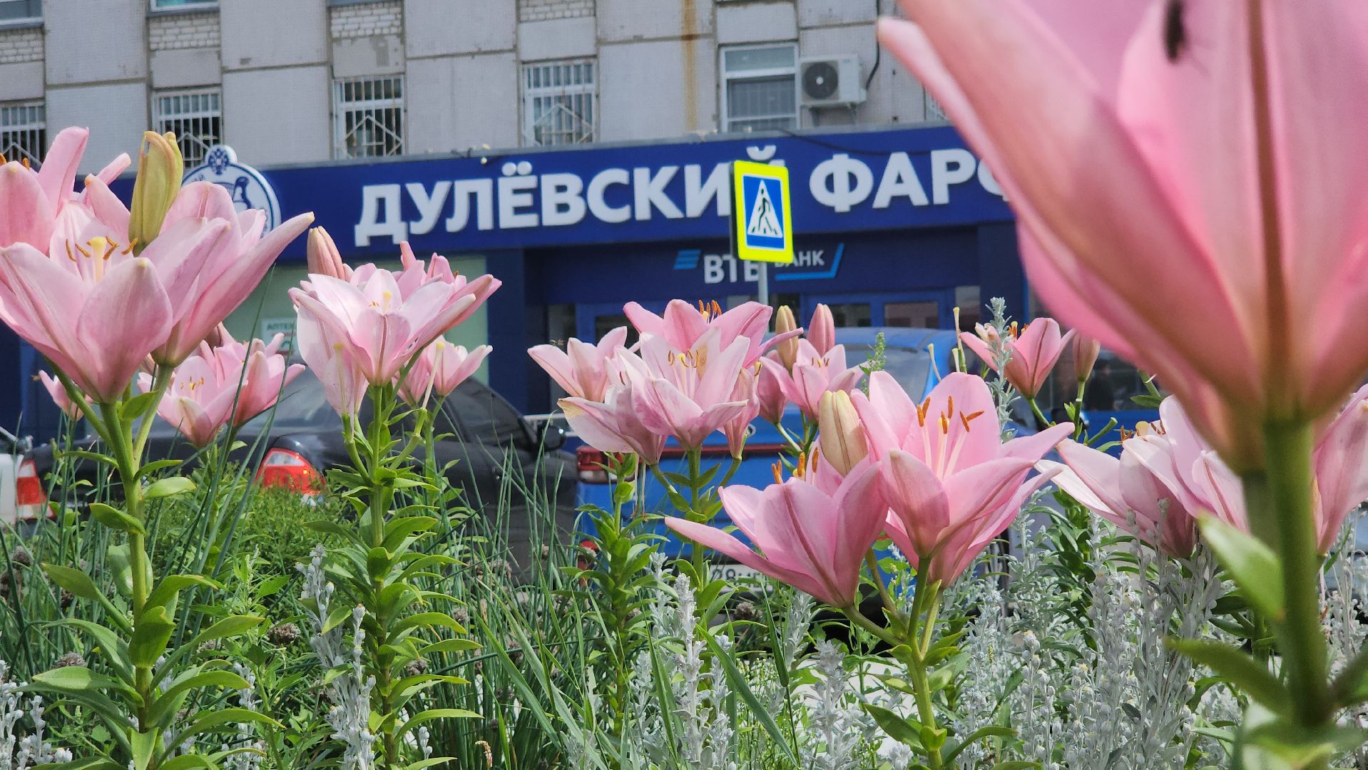 ликино-дулево