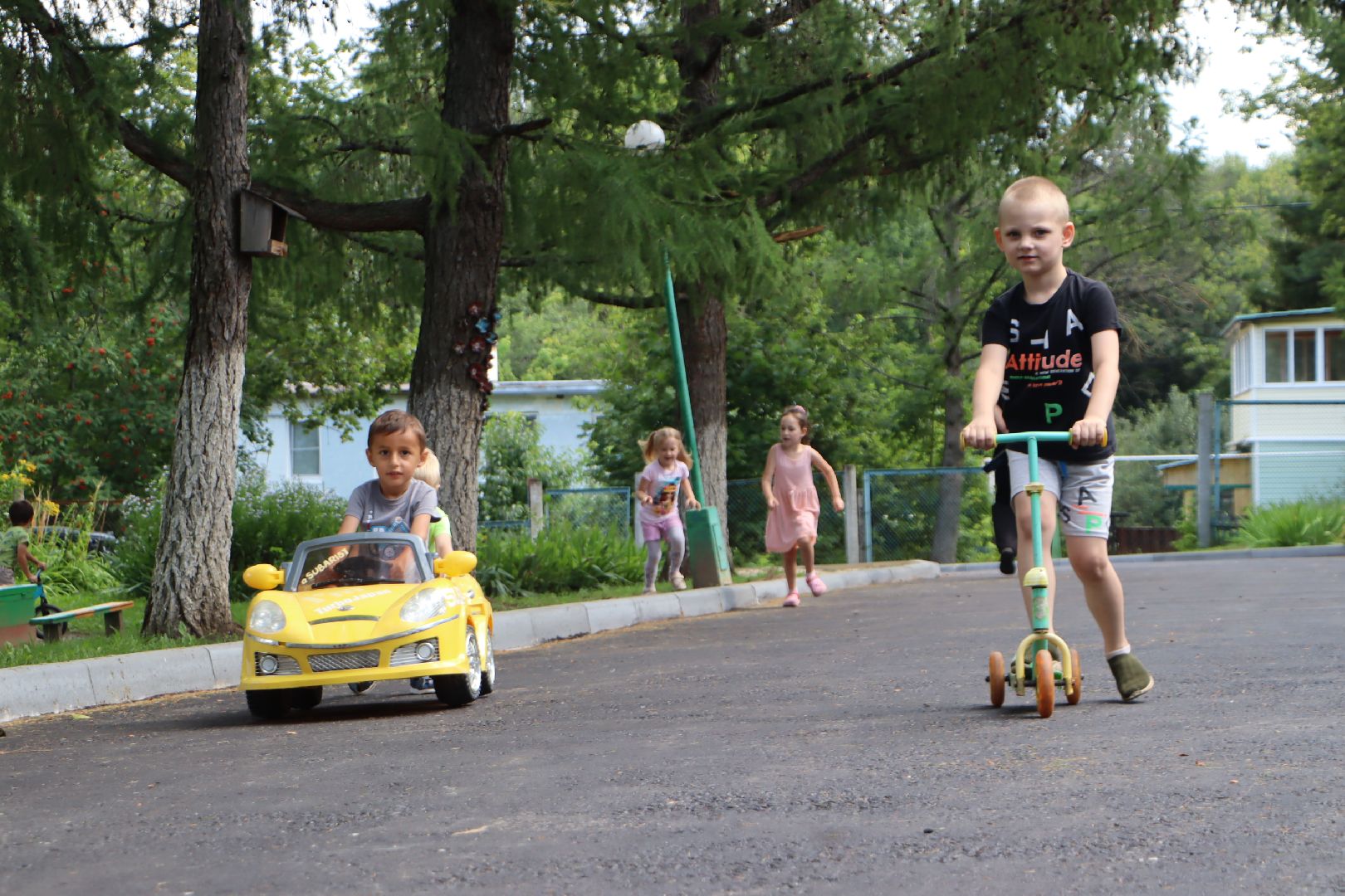 образование