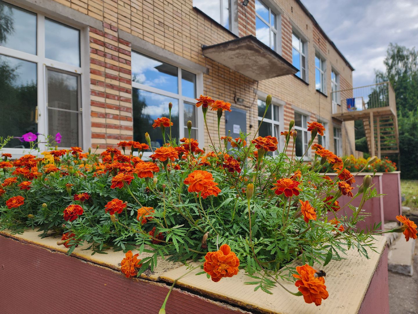 красноармейск