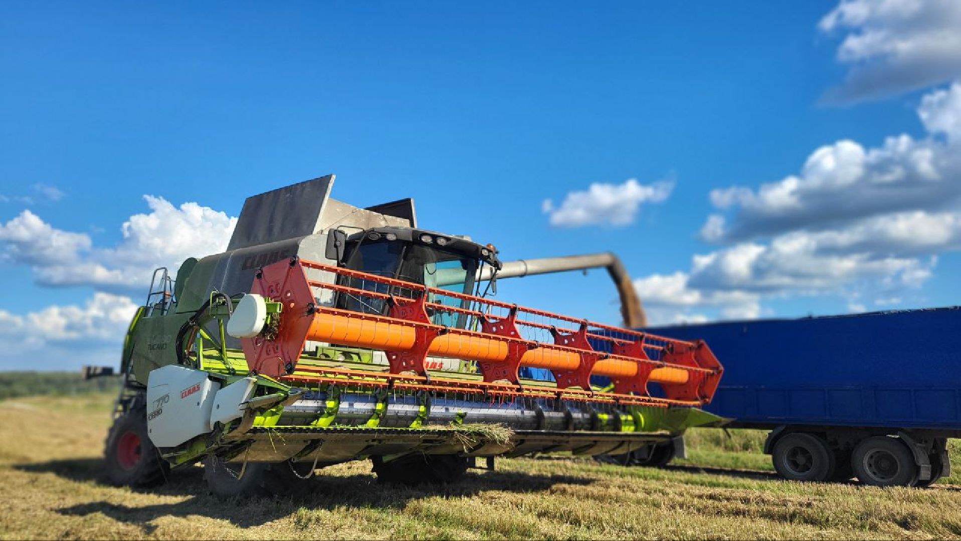 сельское хозяйство