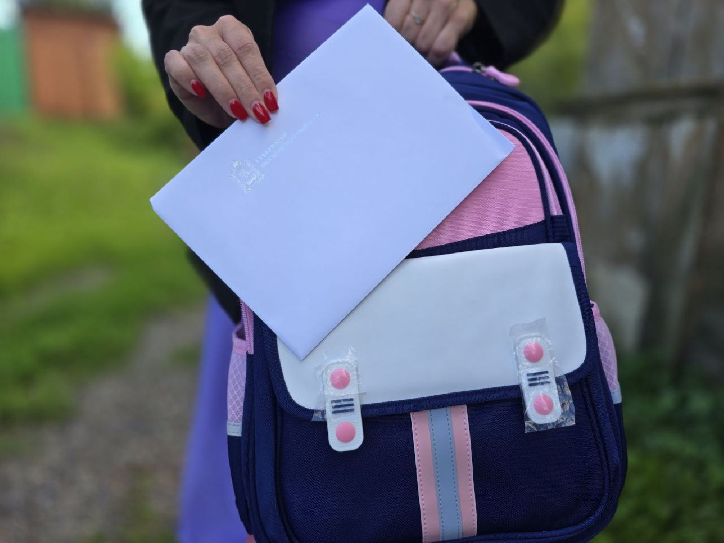 губернатор