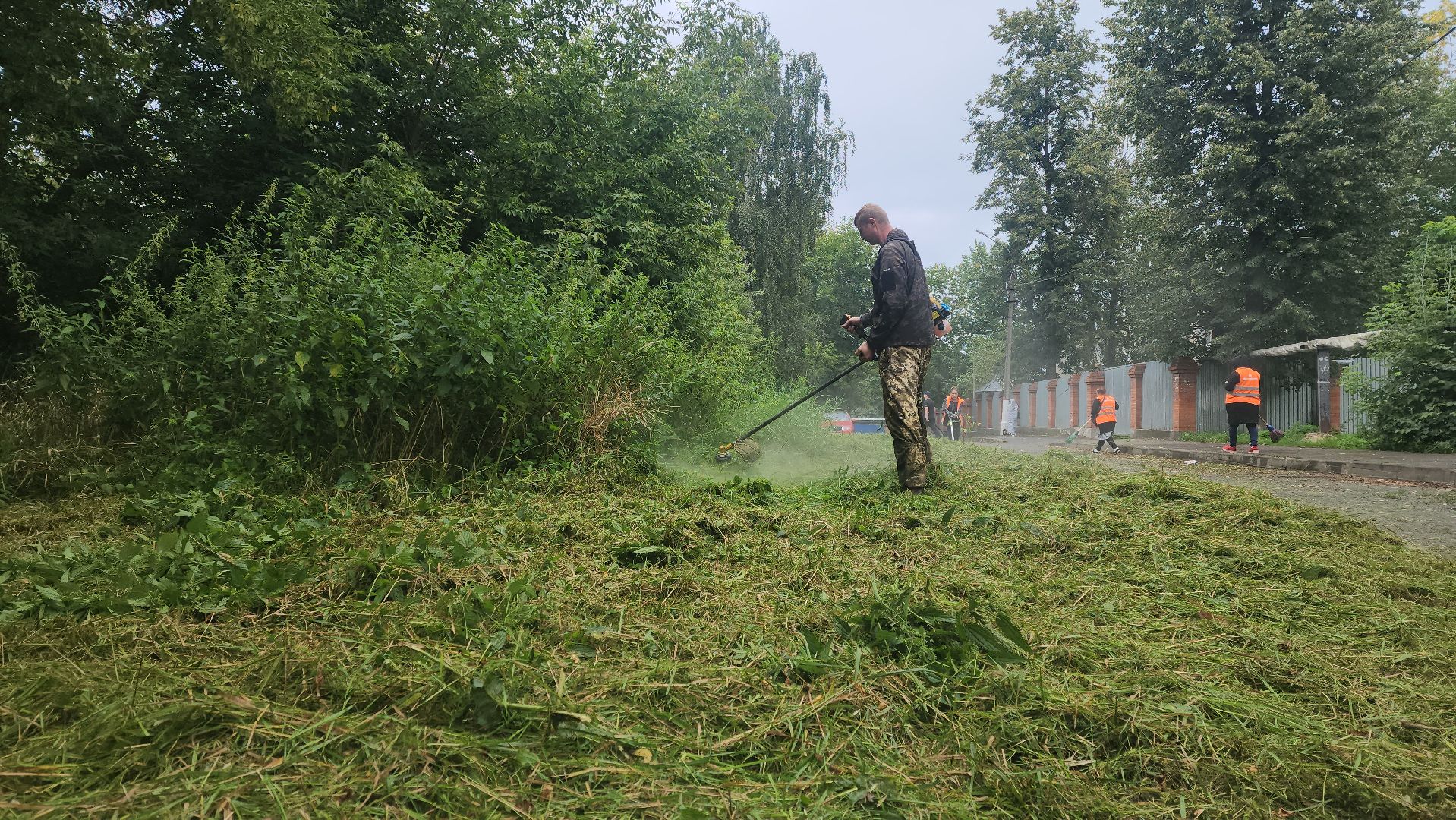 покос травы