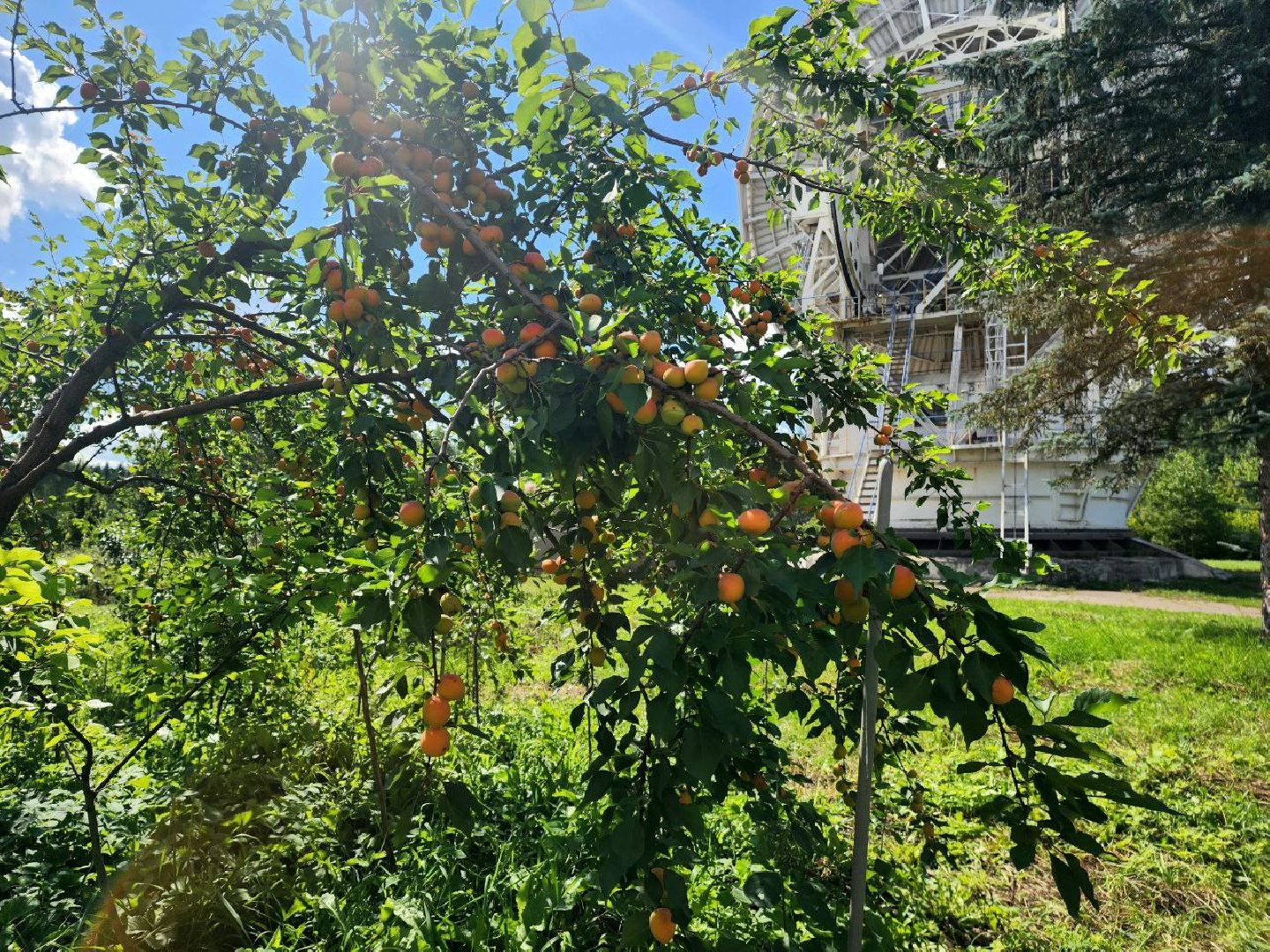 сельское хозяйство