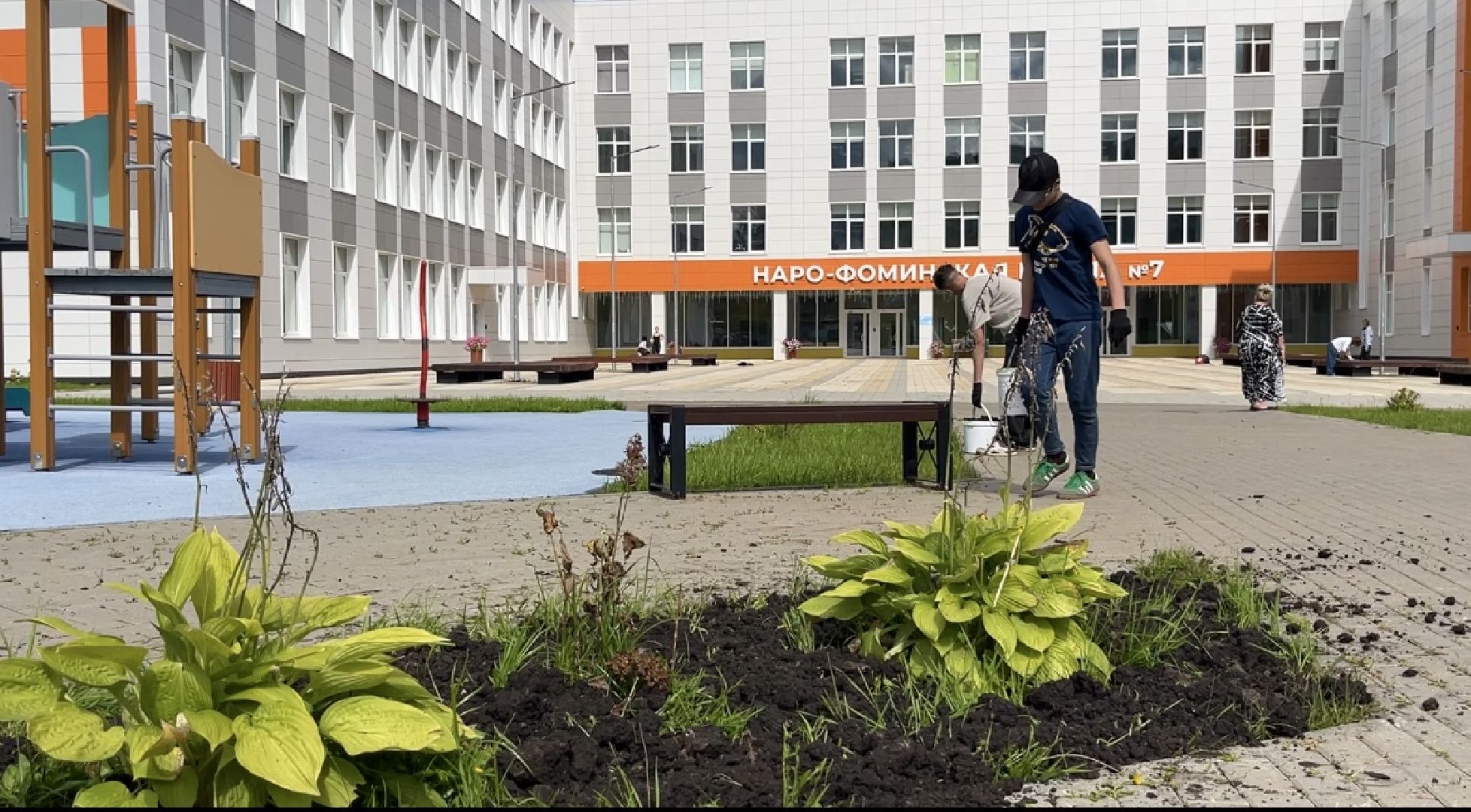 образование