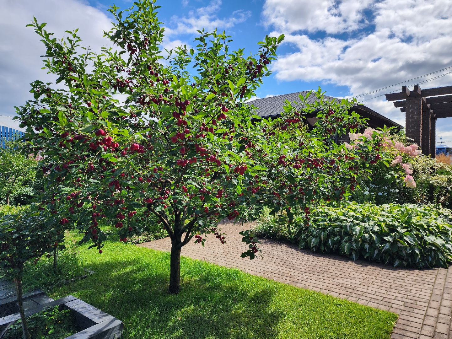 сельское хозяйство