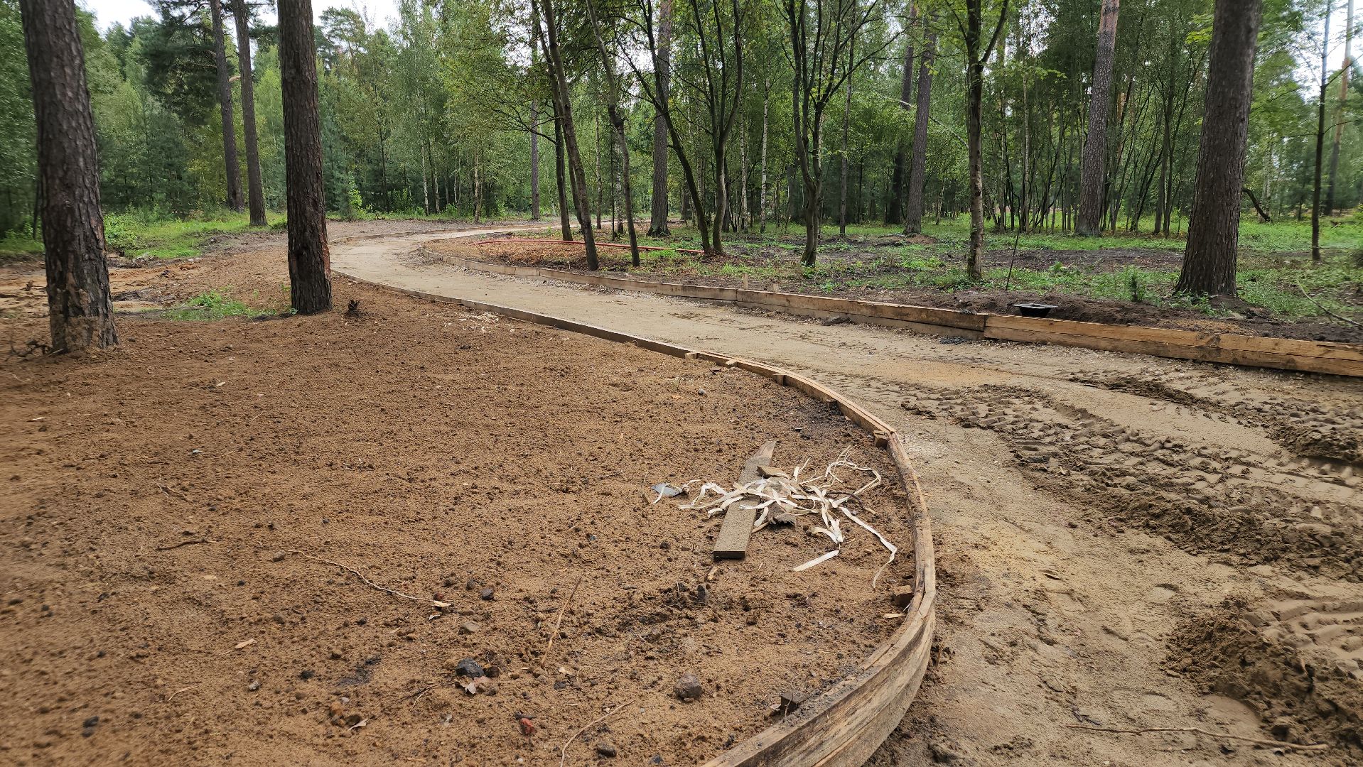 парки в лесу