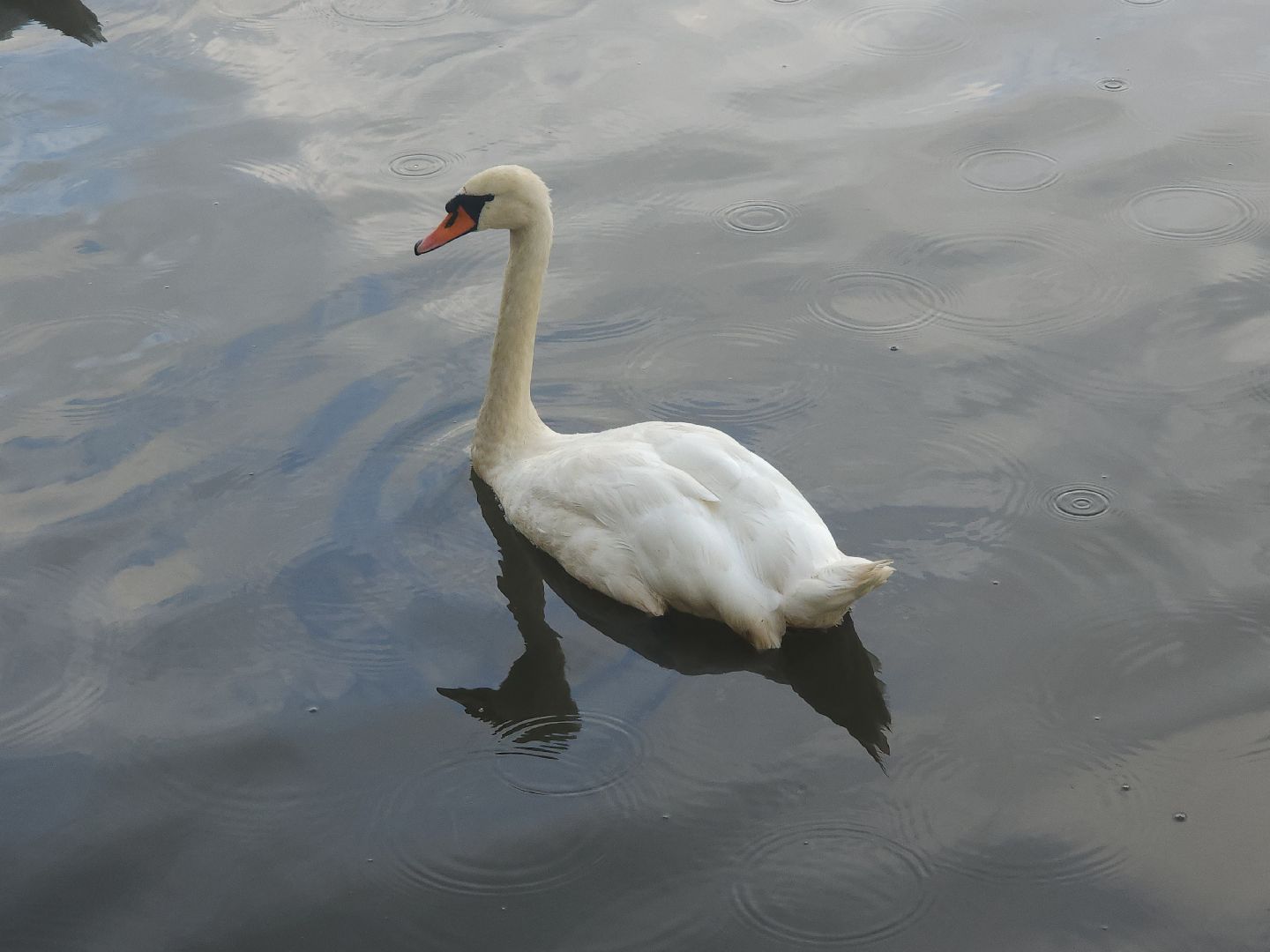 выездная администрация