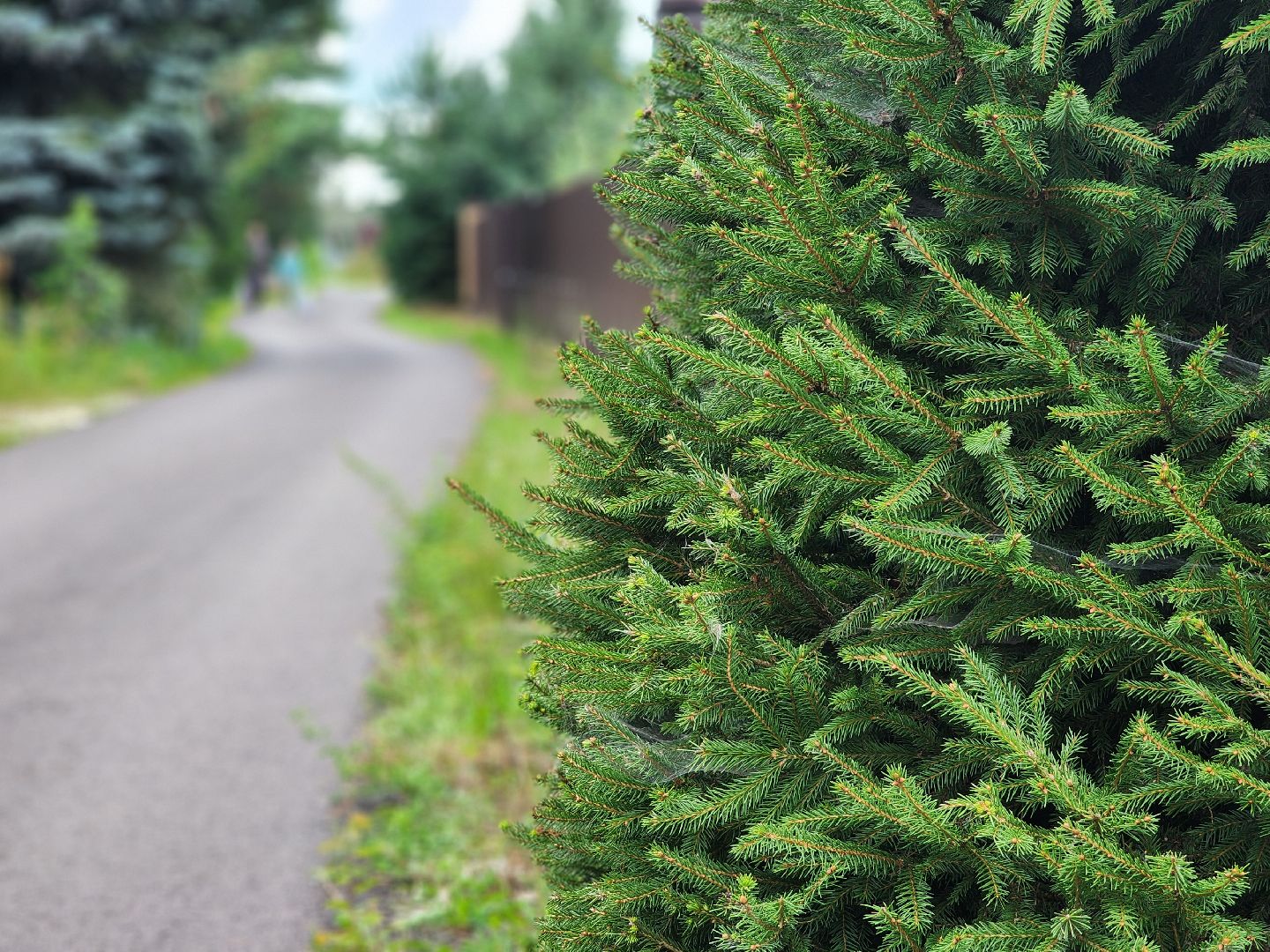 выездная администрация