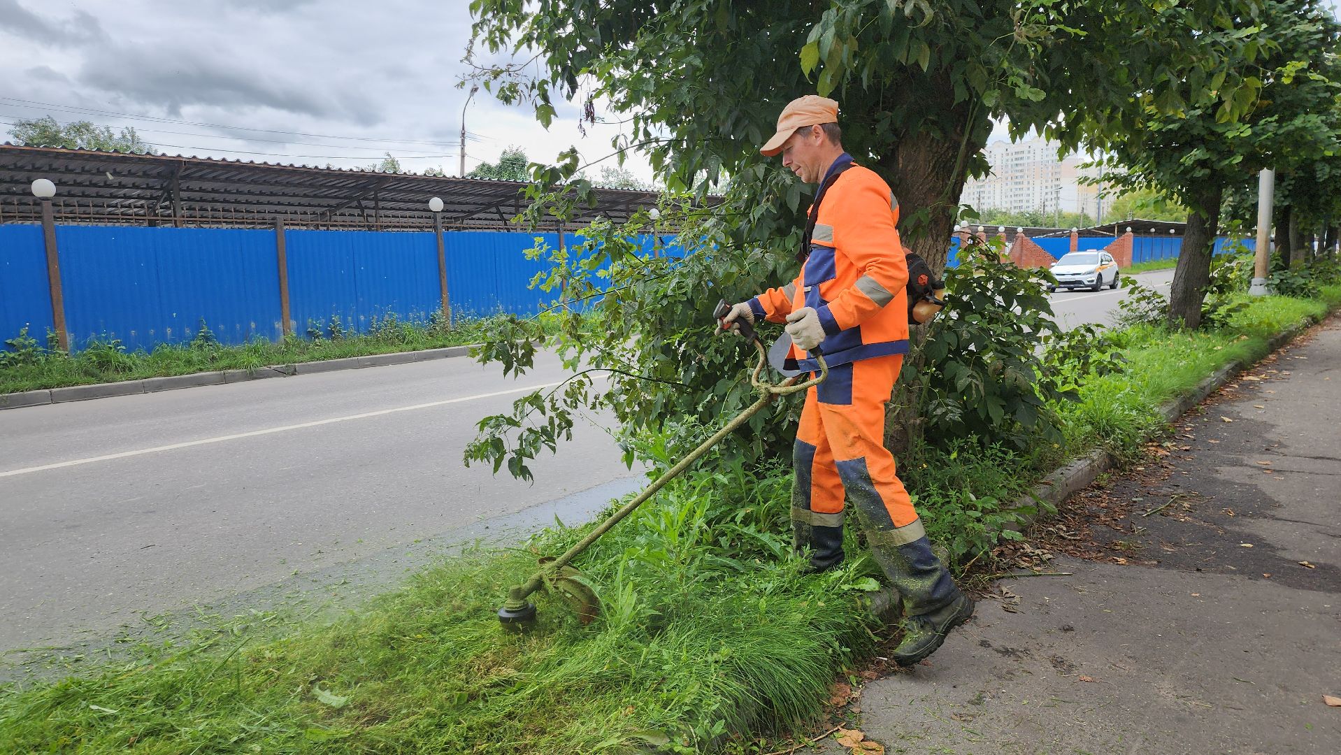 Подмосковье