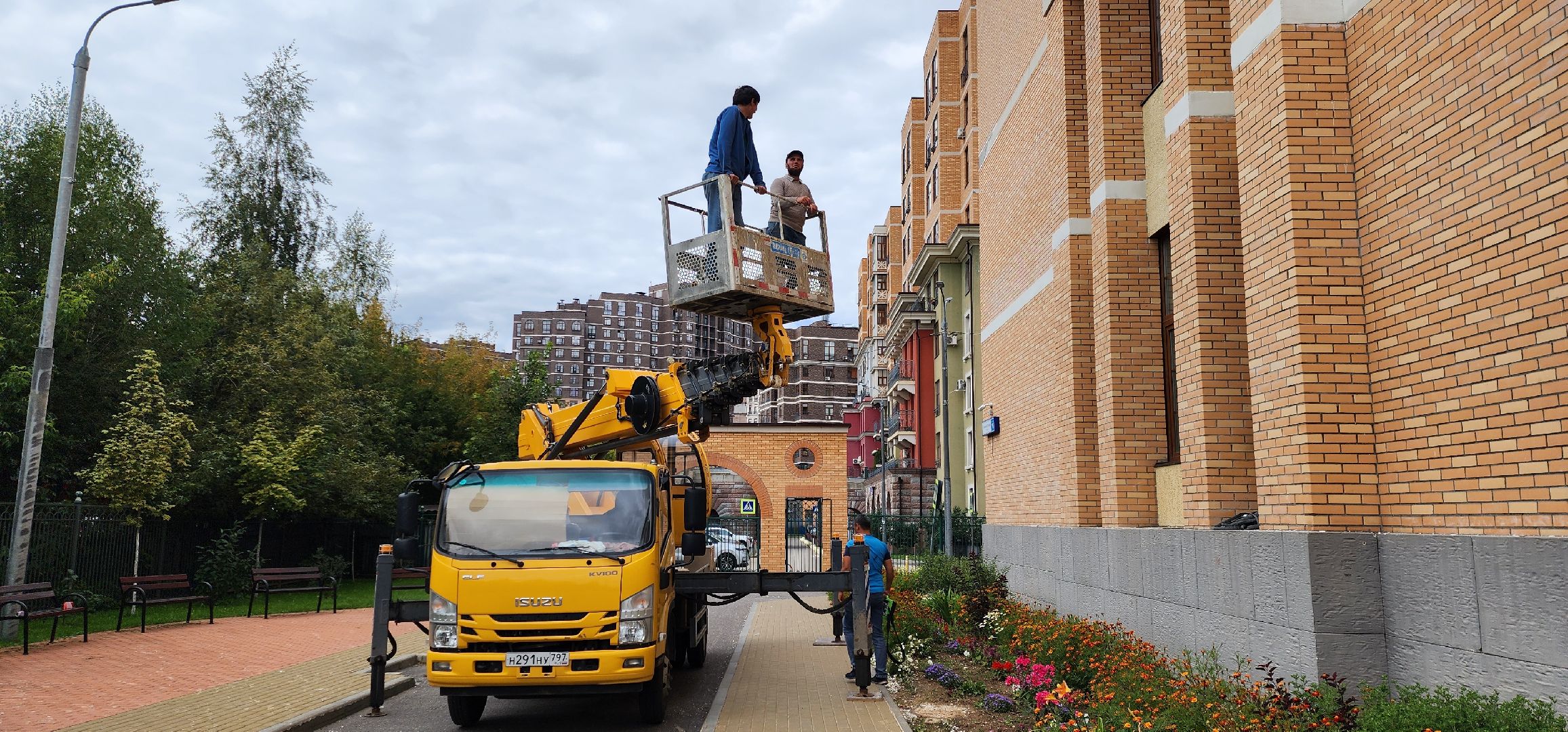 образование