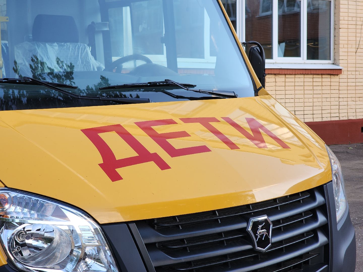 образование