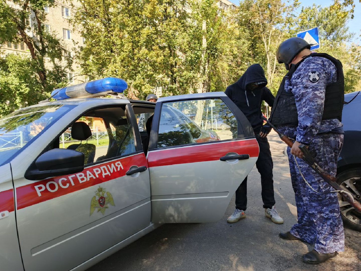 образование