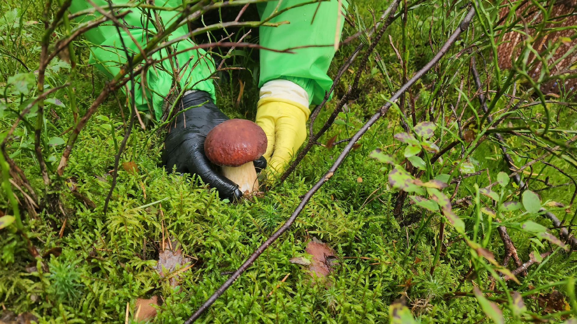 красноармейск