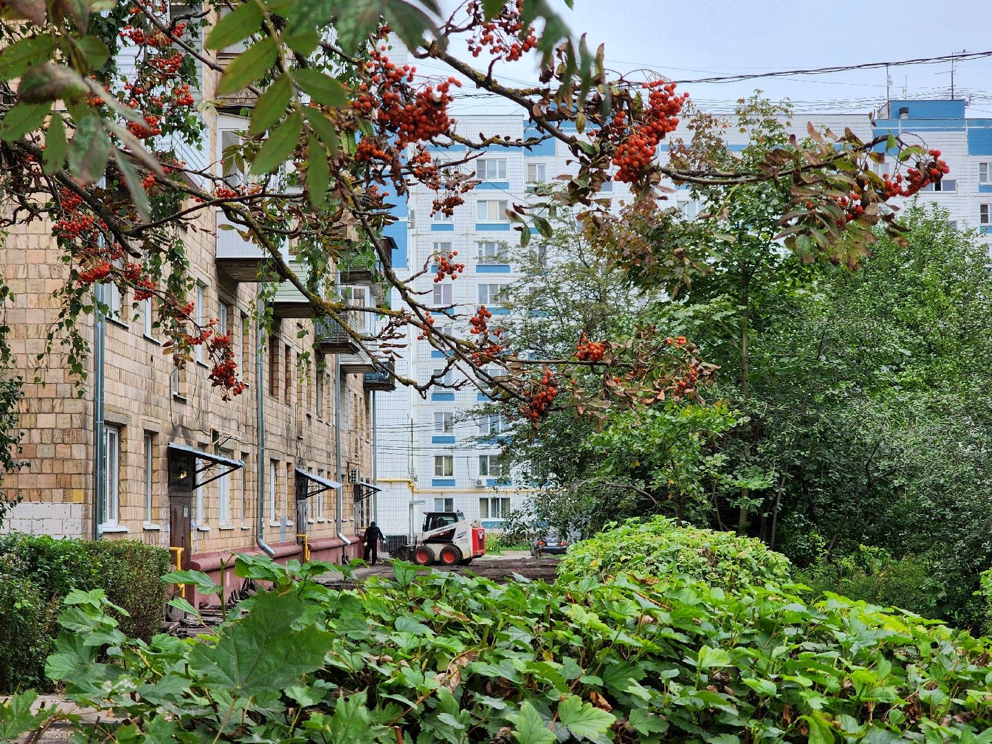 богородский городской округ