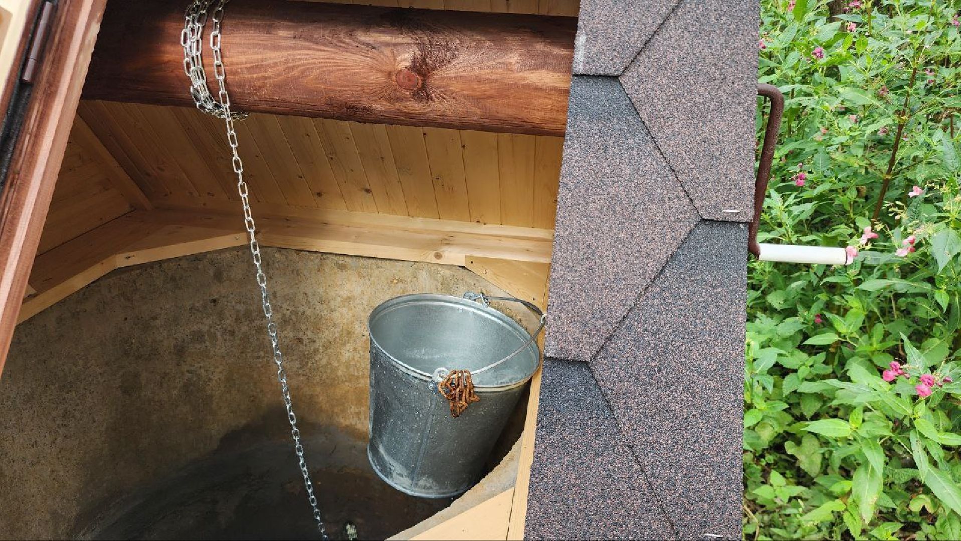 серебряные пруды