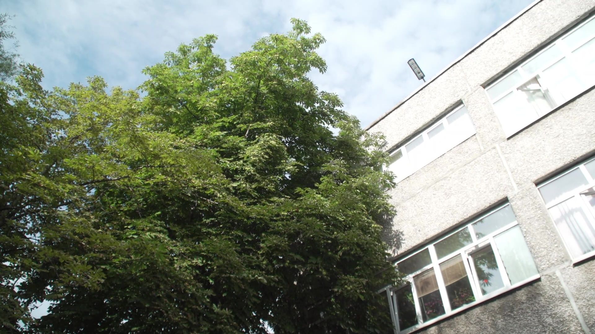 образование