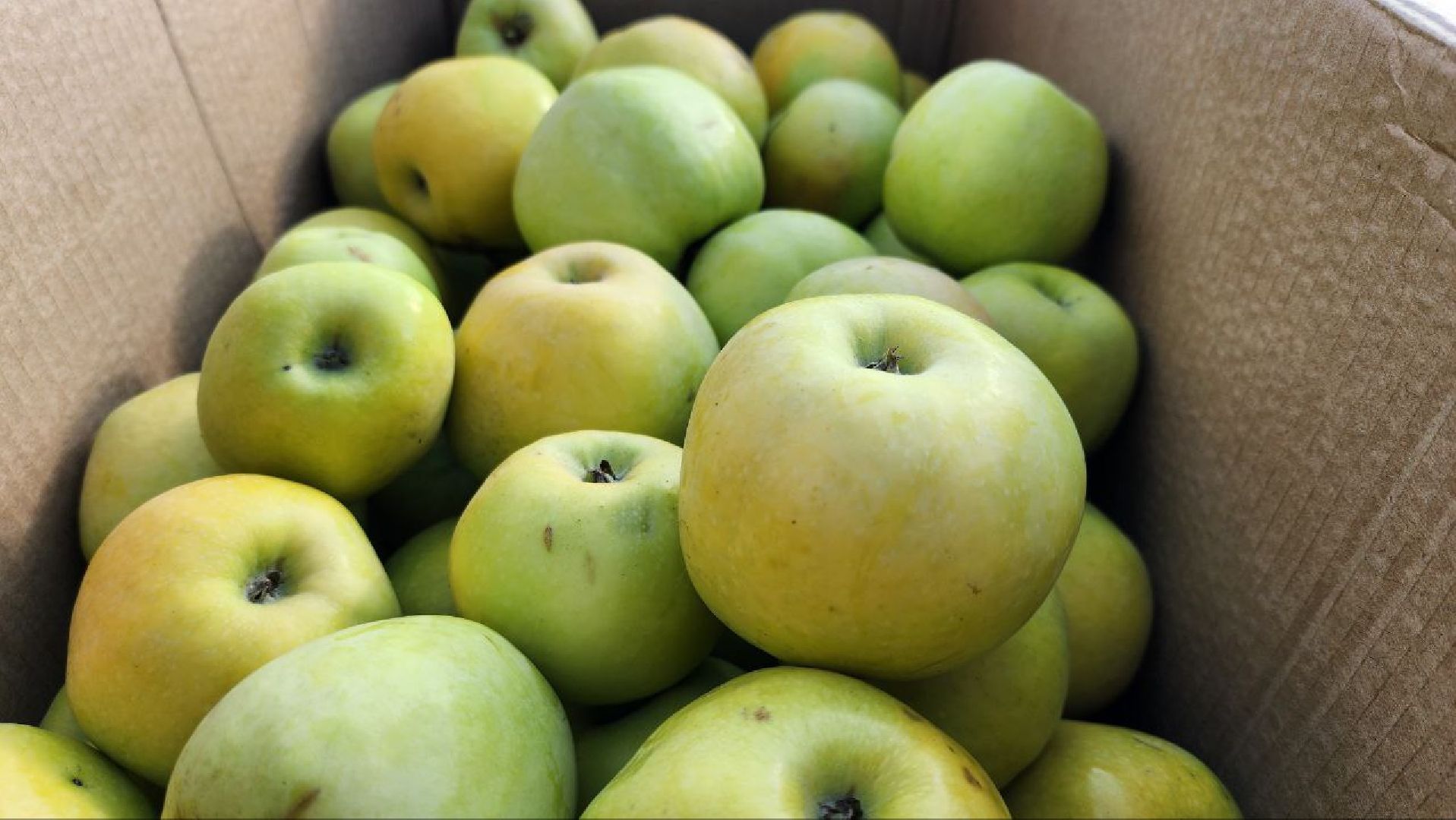 сельское хозяйство