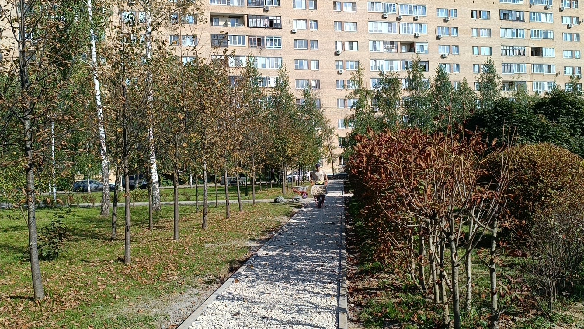 пешеходная дорожка