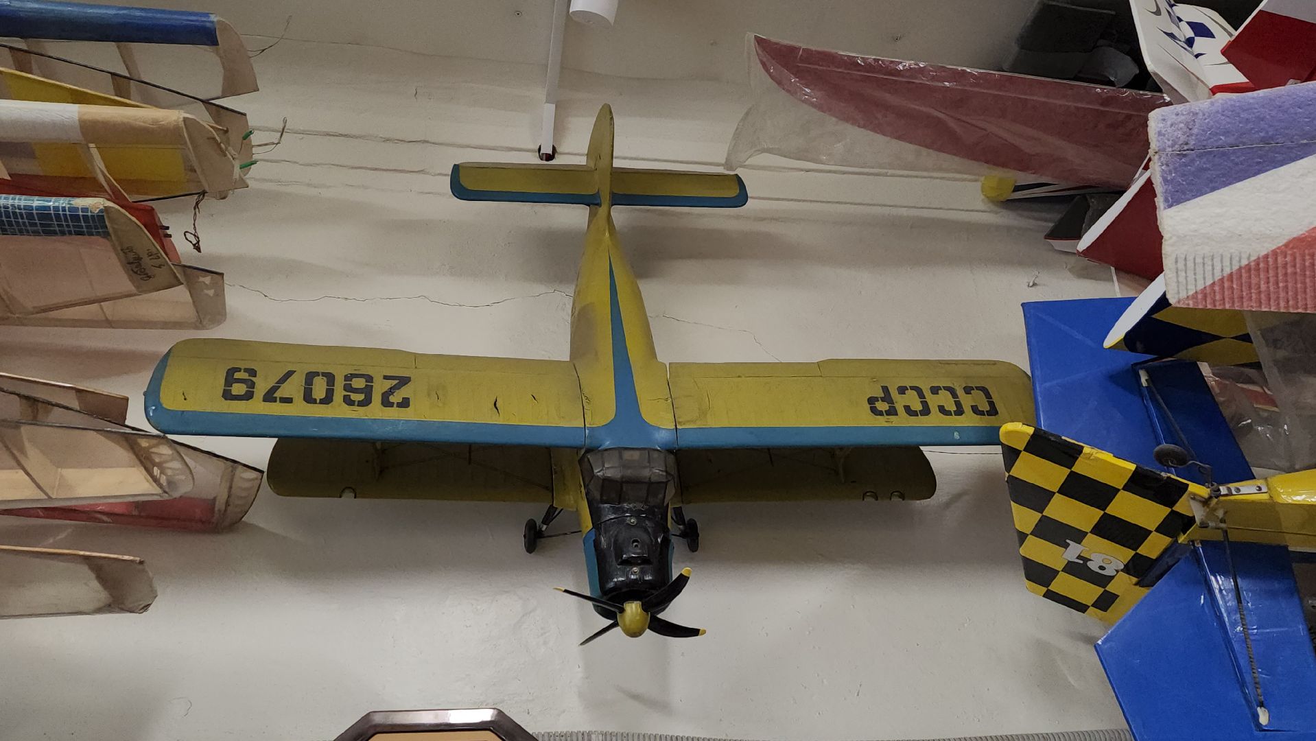 образование