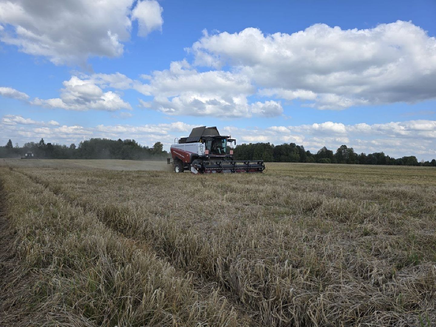 сбор урожая