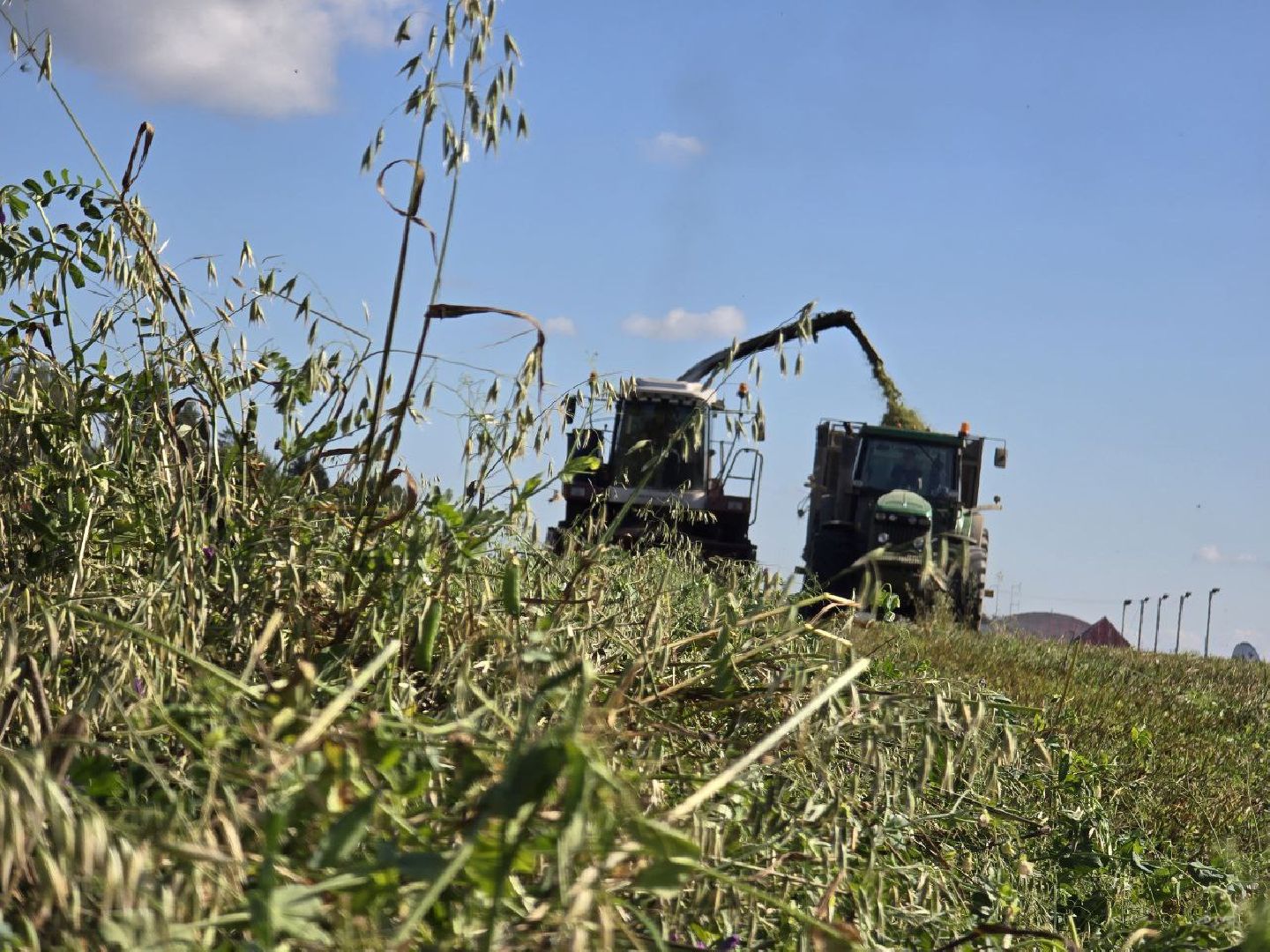 сбор урожая