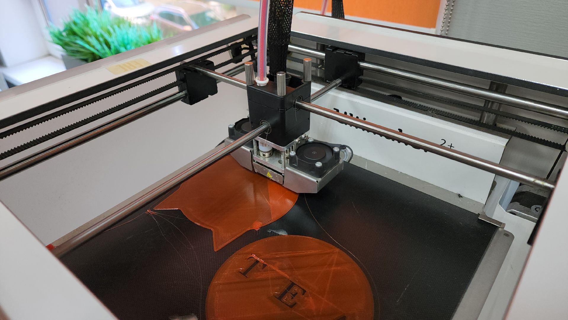 образование