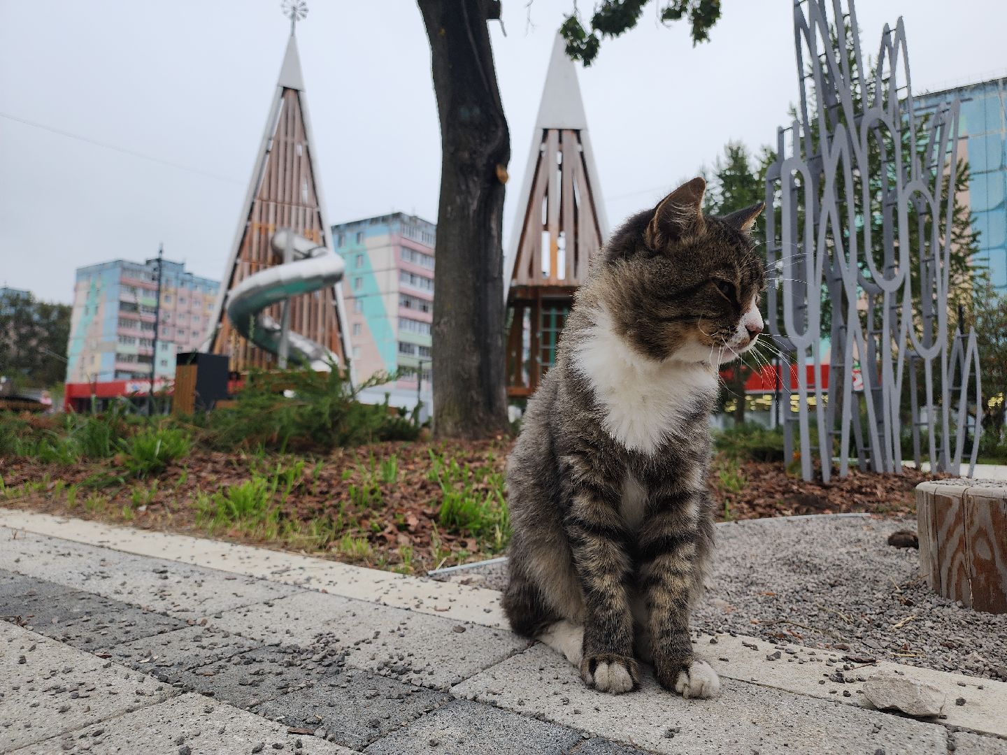 Подмосковье